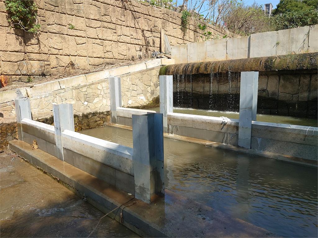 打造魚兒一條安全回家的路 公司田溪生態環境再優化