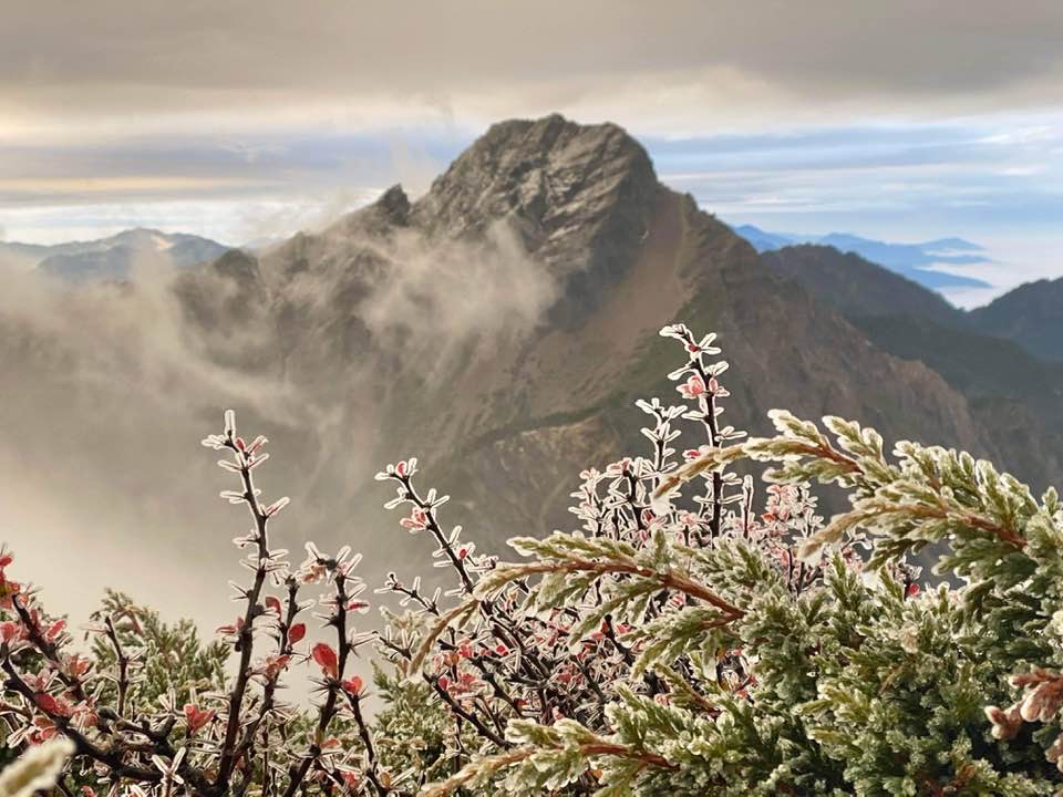 快新聞／寒流罩全台玉山「凍」了！ 鄭明典貼「凍雨」照喊：太美了