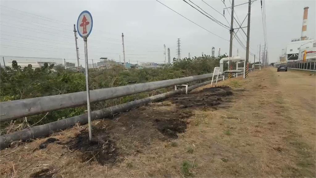 男子抓綠鬣蜥誤觸高壓電　全身40%二度燒燙傷　釀4工廠停電5小時