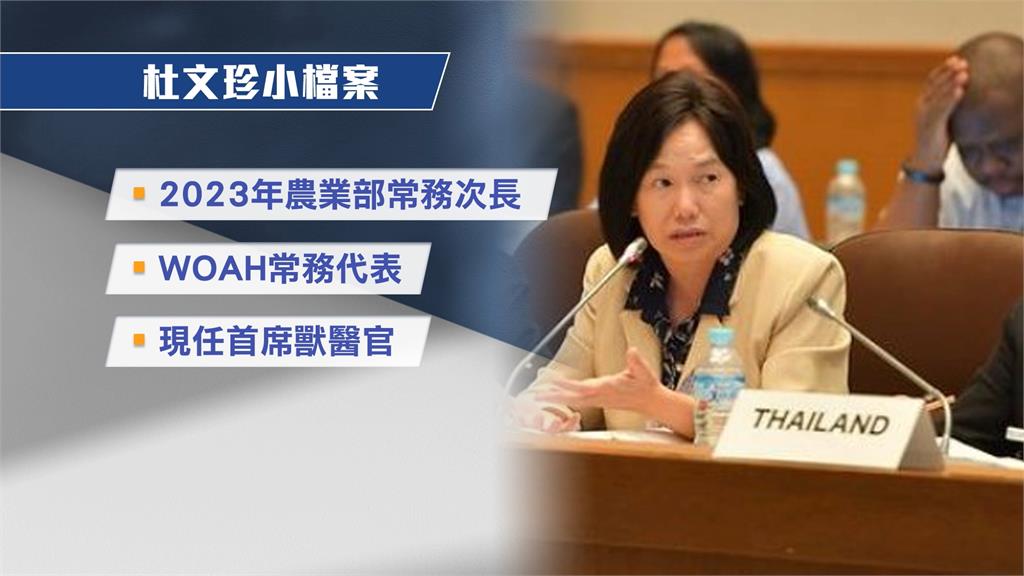 20年多年來致力防豬病! 台灣首席獸醫官杜文珍經驗豐富