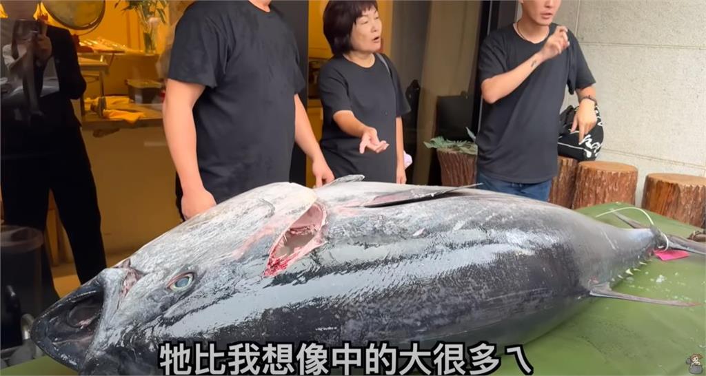 YTR拿湯匙開挖現吃「220公斤」要價30萬黑鮪魚!壯觀畫面曝掀百萬網朝聖