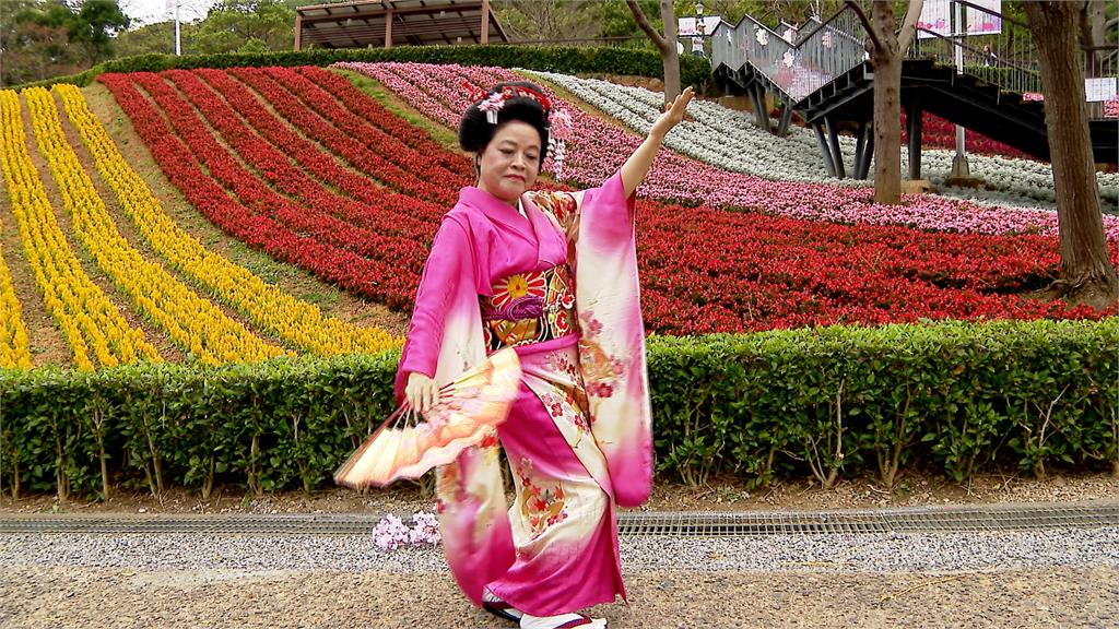 台版富良野！三層崎公園花海　16萬盆花盛放吸民眾參觀