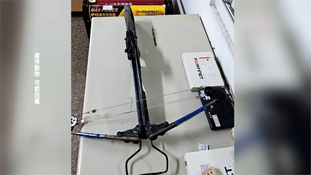 台東金峰鄉貓狗遭十字弓射殺　警循線追查成功緝凶