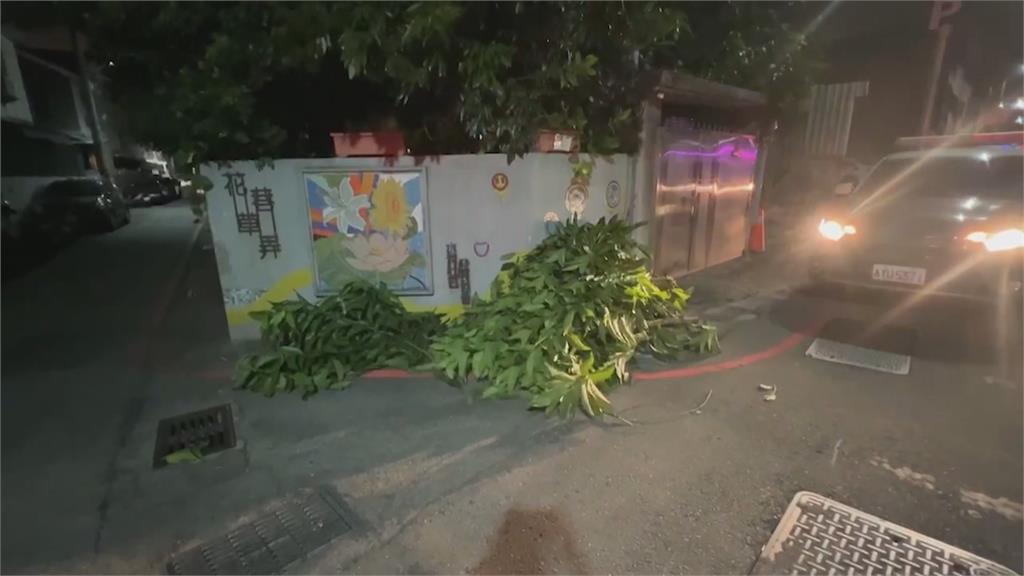 颱風天多樹枝斷落　外送員閃避對向車撞上自摔