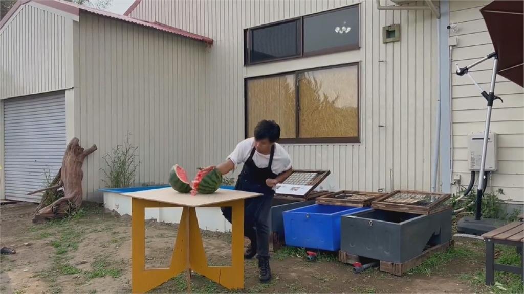 吸客新招!日本爬蟲館推另類服務 超猛館長「徒手劈西瓜」超驚人