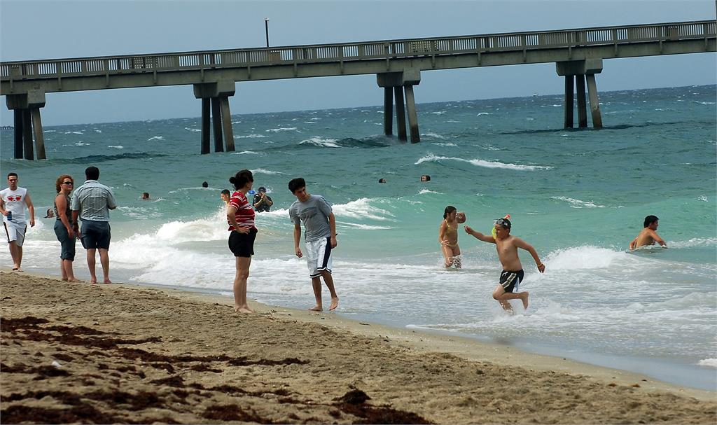55歲女運動員遭「巨鯊咬身拖入海」失蹤一週！他目睹全程…40km外尋獲遺體