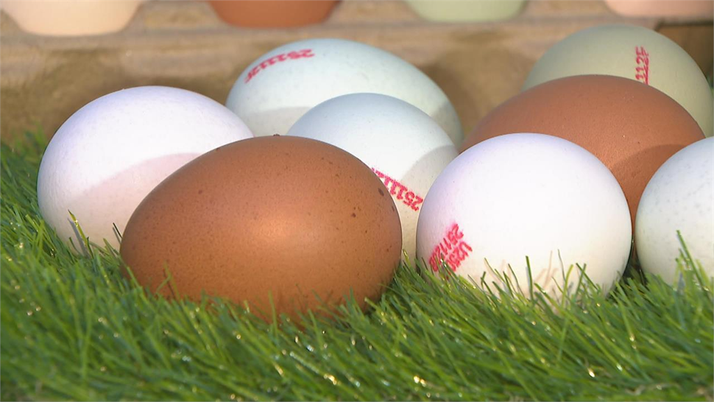 達人破解「食物煮熟更耐放」迷思!水煮蛋「這情況」極限24hrs內吃完