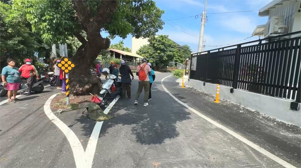 屏東佳冬百年茄苳樹　神似「摩艾像」成打卡熱點