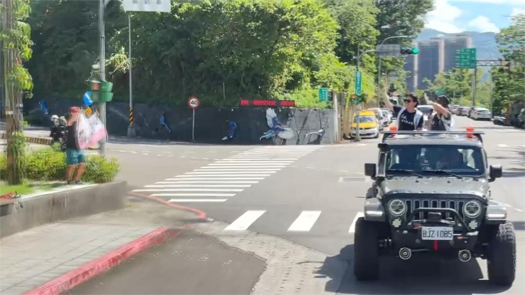 罷免0比31全軍覆沒！黨內逼宮辭總召？柯建銘：罷免連署證明抗中保台大成功