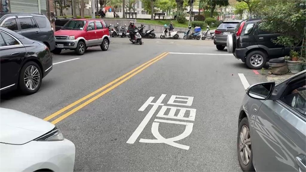 新竹明星豬「妞妞」遭車輾斃 飼主挨轟沒牽繩放任亂跑