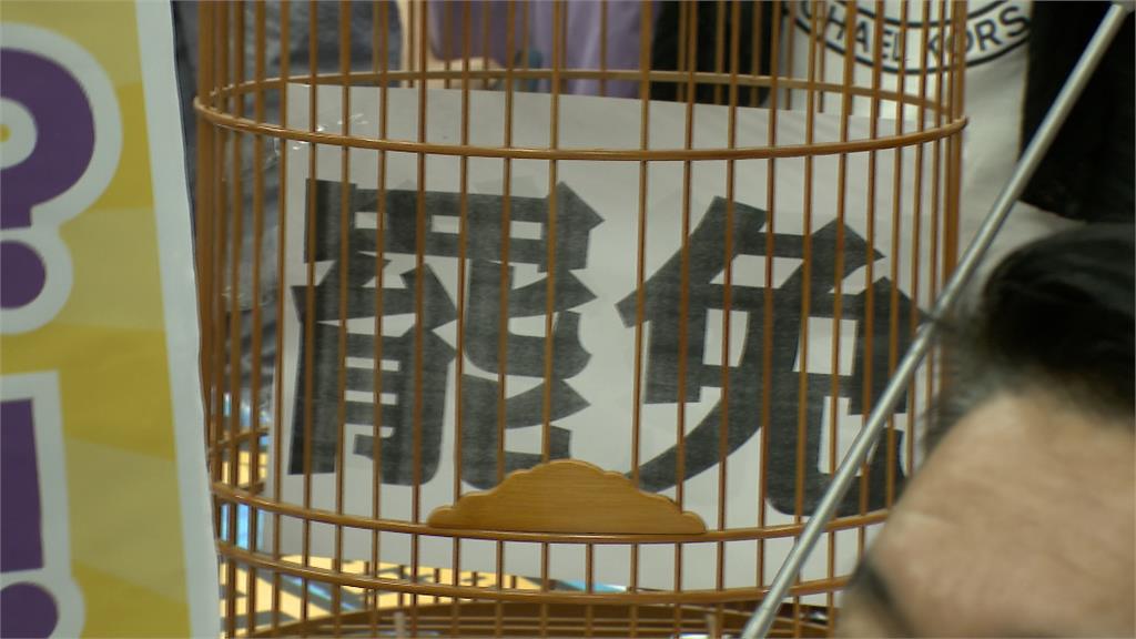 傳藍不修罷免門檻轉支持綠委提案 吳秉叡:已經撤案