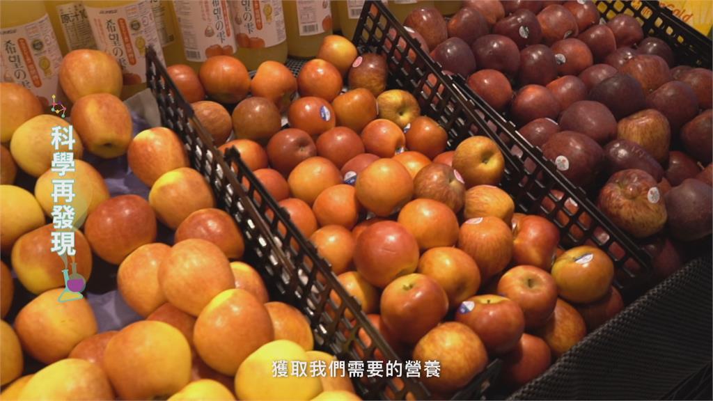 扇型飲食指南　全穀物　糙米吃出健康