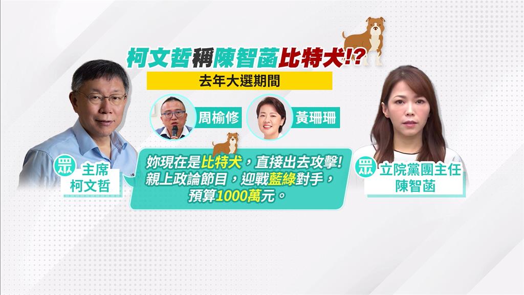 傳柯文哲封「比特犬」執行千萬計畫 陳智菡怒反擊
