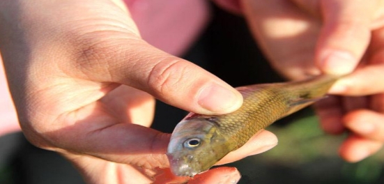 中國湖北洞穴年年「吐魚」萬斤　村民狂撈「瀕危物種」專家氣炸！