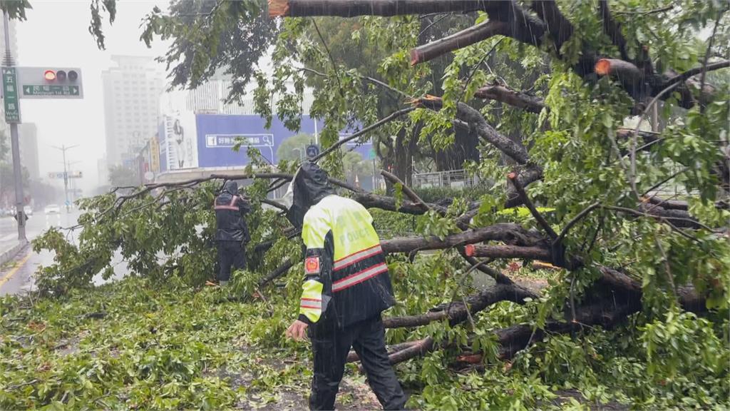 快新聞／杜蘇芮挾雨彈炸台　高雄路樹倒塌壓車、招牌掉落