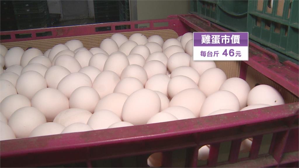 吃不消！2年飼料漲40％　蛋農喊話：蛋價不要凍漲