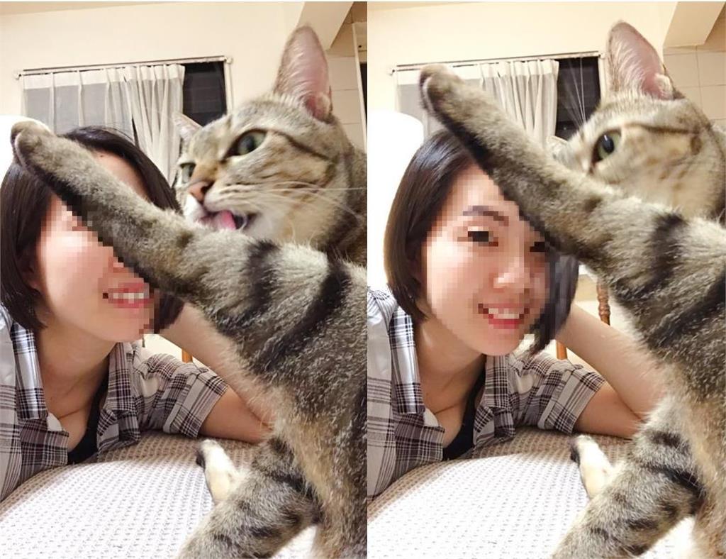 蕭煌奇突拋結婚喜訊!老婆身分疑寵物訓練師…「神似桂綸鎂」正面照曝光