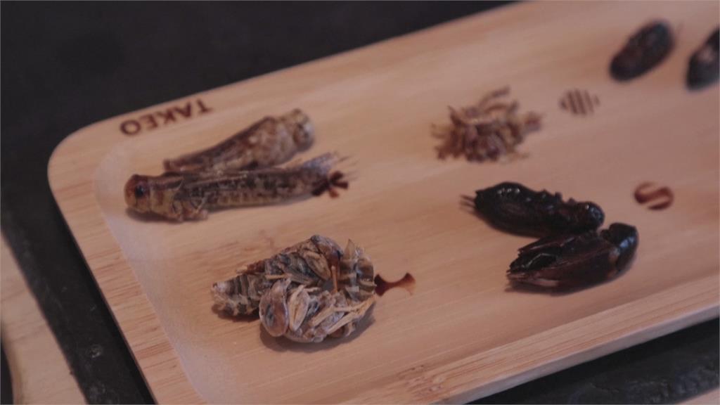 衝突性美味！東京超狂咖啡廳　「蟲蟲料理」挑戰饕客味蕾