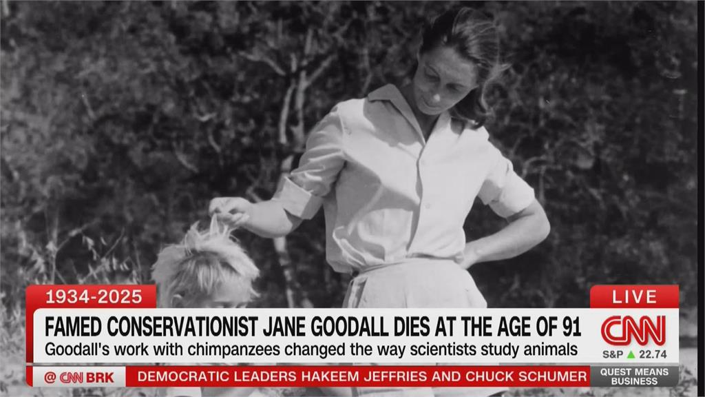 「黑猩猩之母」珍古德91歲辭世 今年6月才來台演說