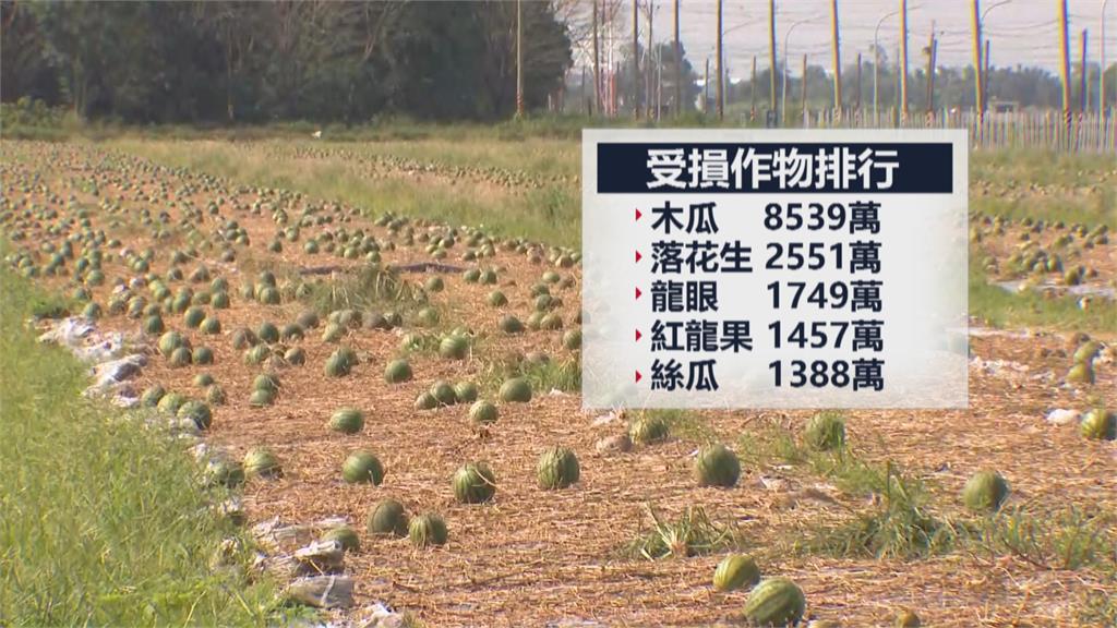 豪雨農損破4.2億　蘇揆赴彰化視察白花椰菜