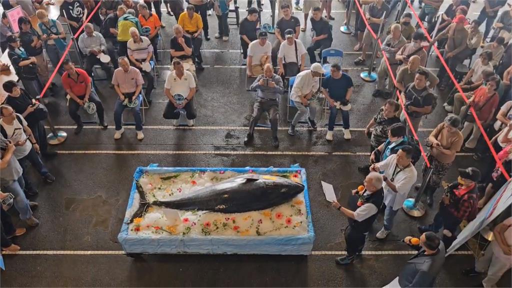 蘇澳第一鮪拍賣　重達２７６公斤拍出近２百萬元