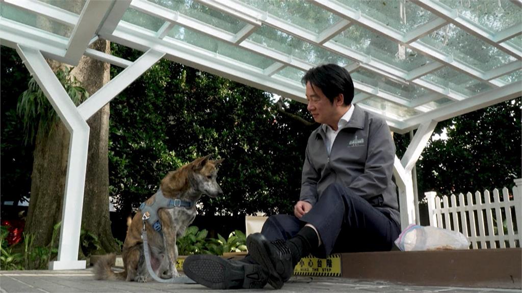 首接受法新社獨家專訪　賴總統：美挺台不會將台當政治籌碼