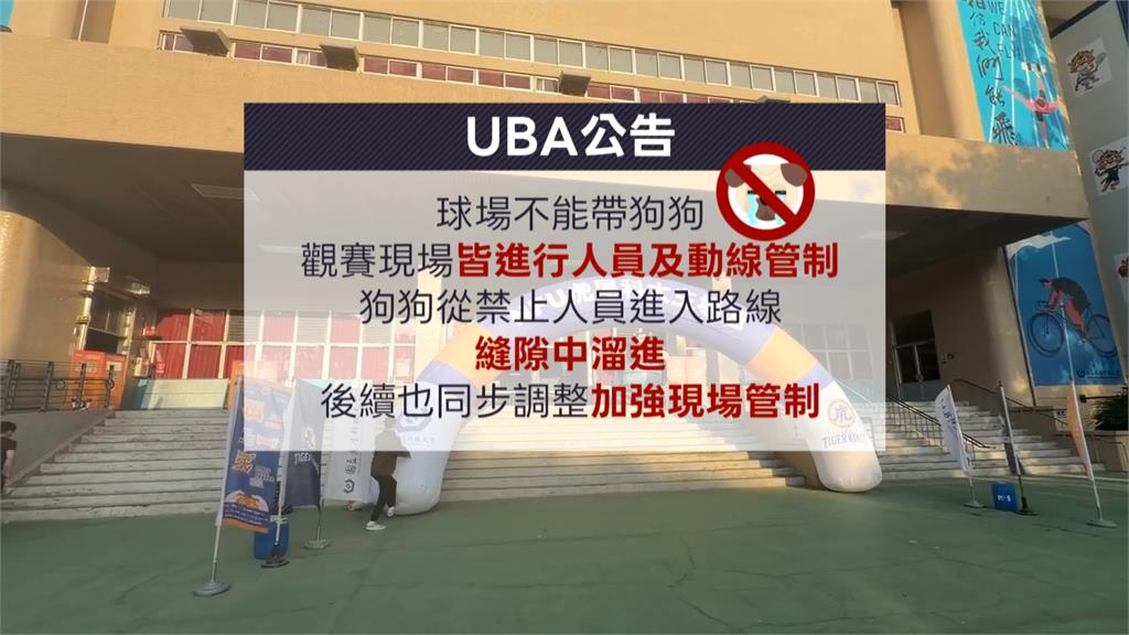 狗狗闖入UBA預賽咬鞋帶！　義守教練姨母笑逗狗