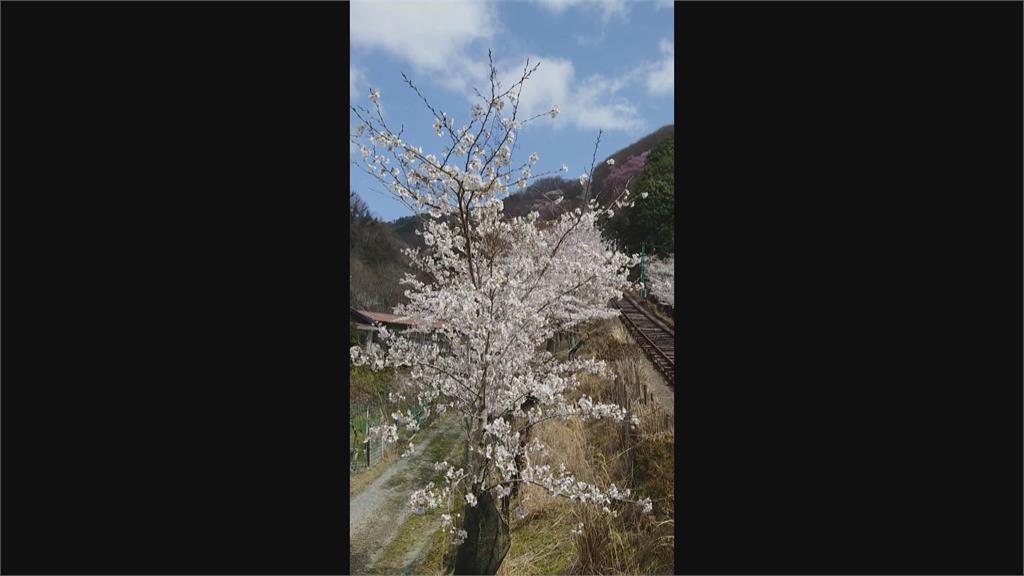 疫後報復性旅遊發燒! 旅遊業推科技訂單系統