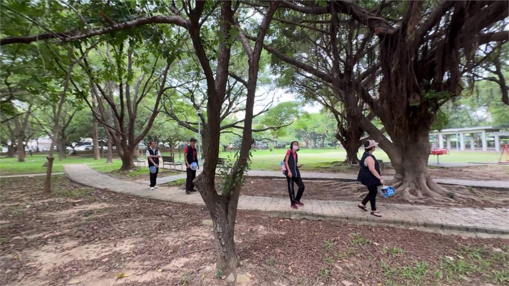 台中市西屯區世貿公園變「開心果園」 波羅蜜樹結實纍纍來採果?