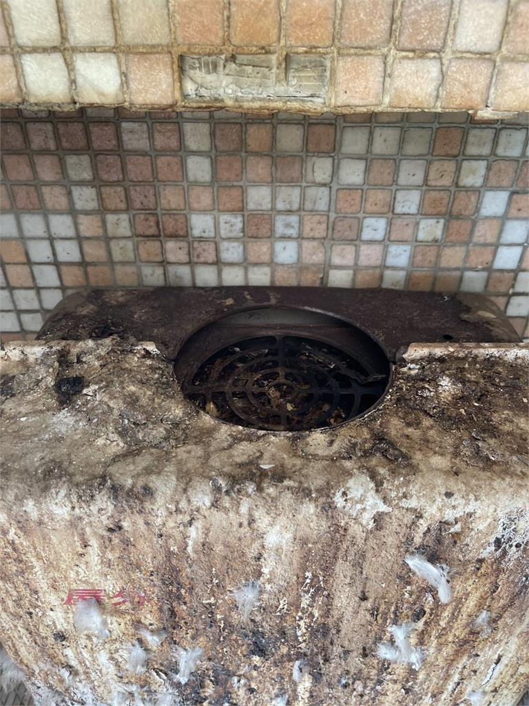 快新聞／離奇！鳥糞太多釀禍？　彰化住戶開熱水器「下秒竟燒起來...」