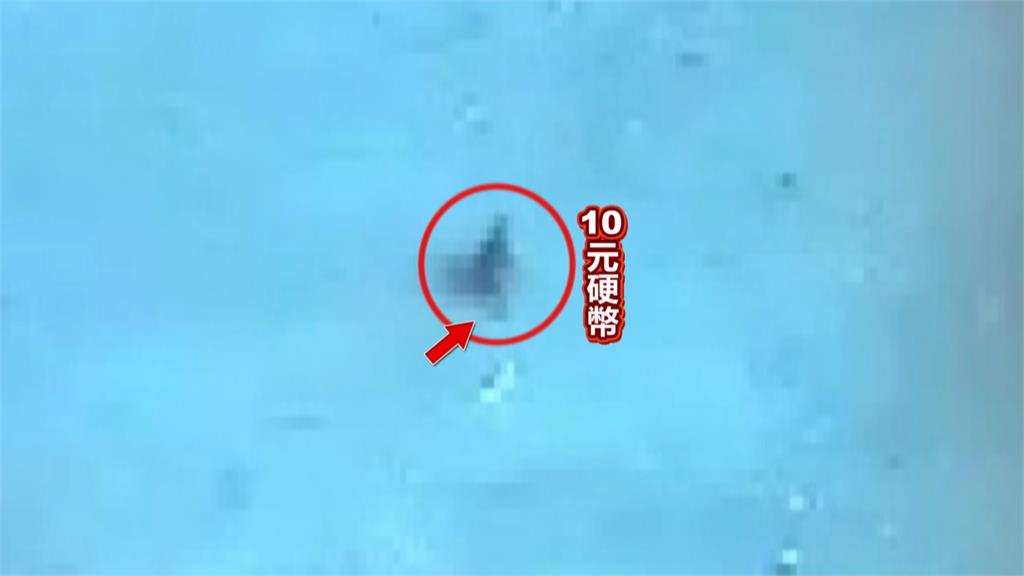 抓到了! 投幣箱硬幣撒一地 凶手竟是"麻雀"為築巢
