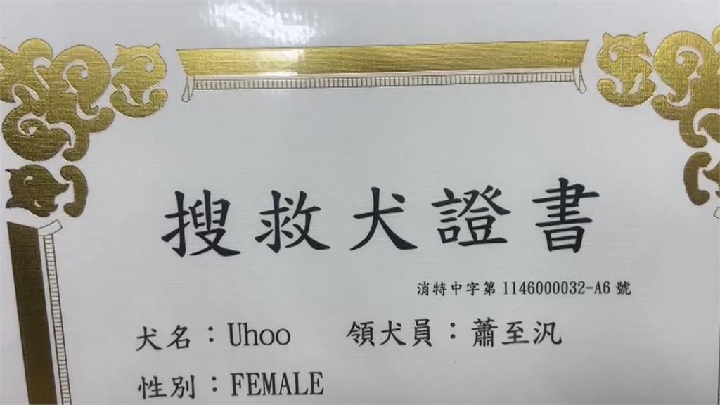 全能汪汪!台灣首隻「雙功能」警犬 會緝毒也能搜救
