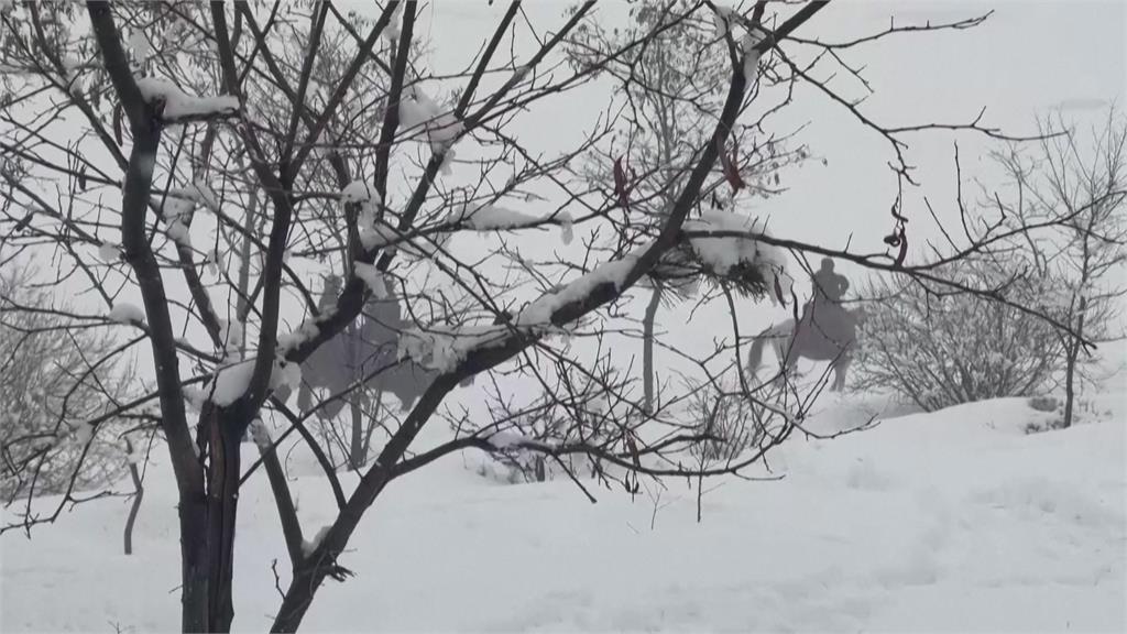 阿富汗本月破百人凍死　逢「國際救援暫停服務」雪上加霜