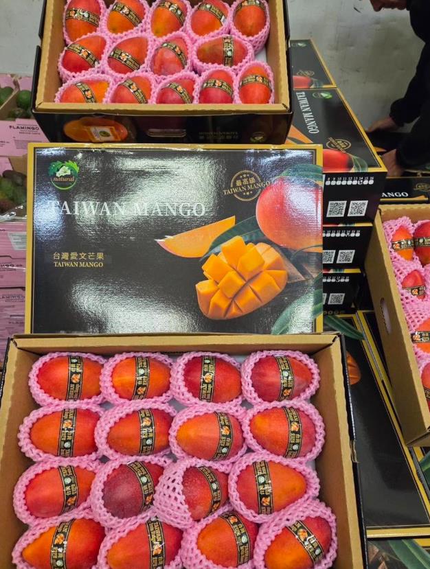 快新聞／台灣「這水果」出頭天了！法國市場猛出高價買爆　國內產地曝光