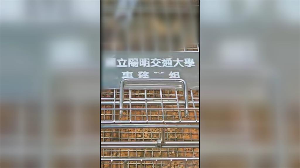 捕獸籠有貓屍 學生控虐待動物 陽交大校方:調監視器釐清
