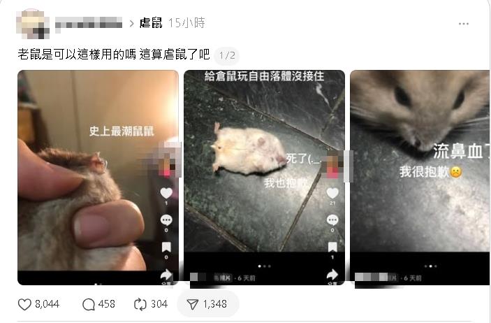 她殘忍「虐倉鼠」竟拍抖音記錄！「釘書機穿耳洞+自由落體墜地亡」惡劣行徑全曝光