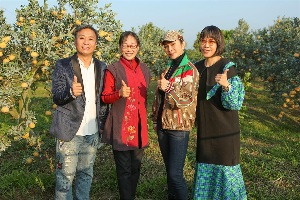 王中平帶陳美鳳到斗六採茂谷柑 西裝筆挺出場被虧「要在果園開唱嗎」