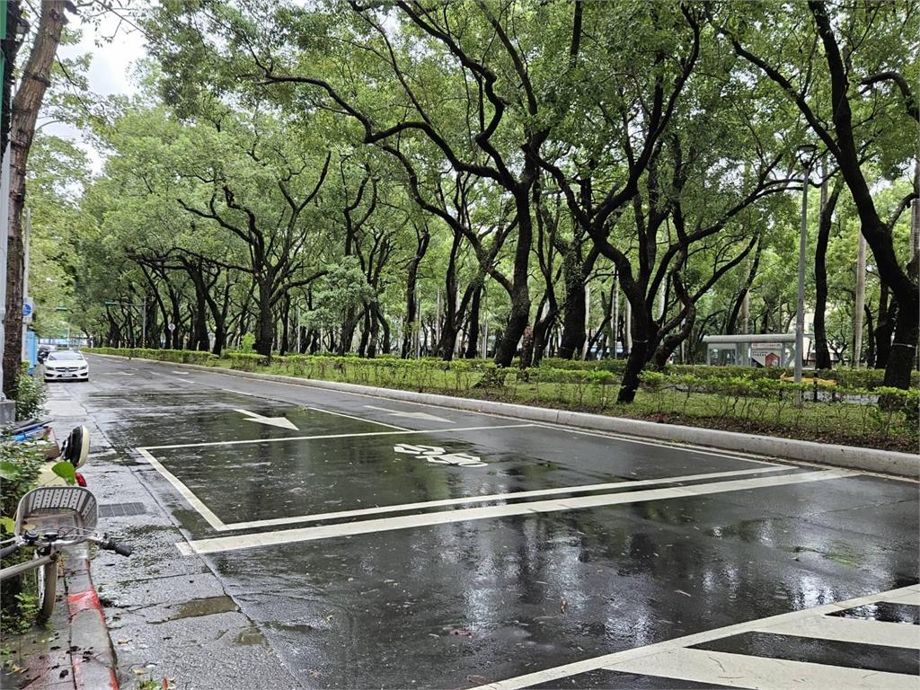 快新聞/網傳北市仁愛路整排路樹倒 北市府澄清:假的!蘇迪勒舊照