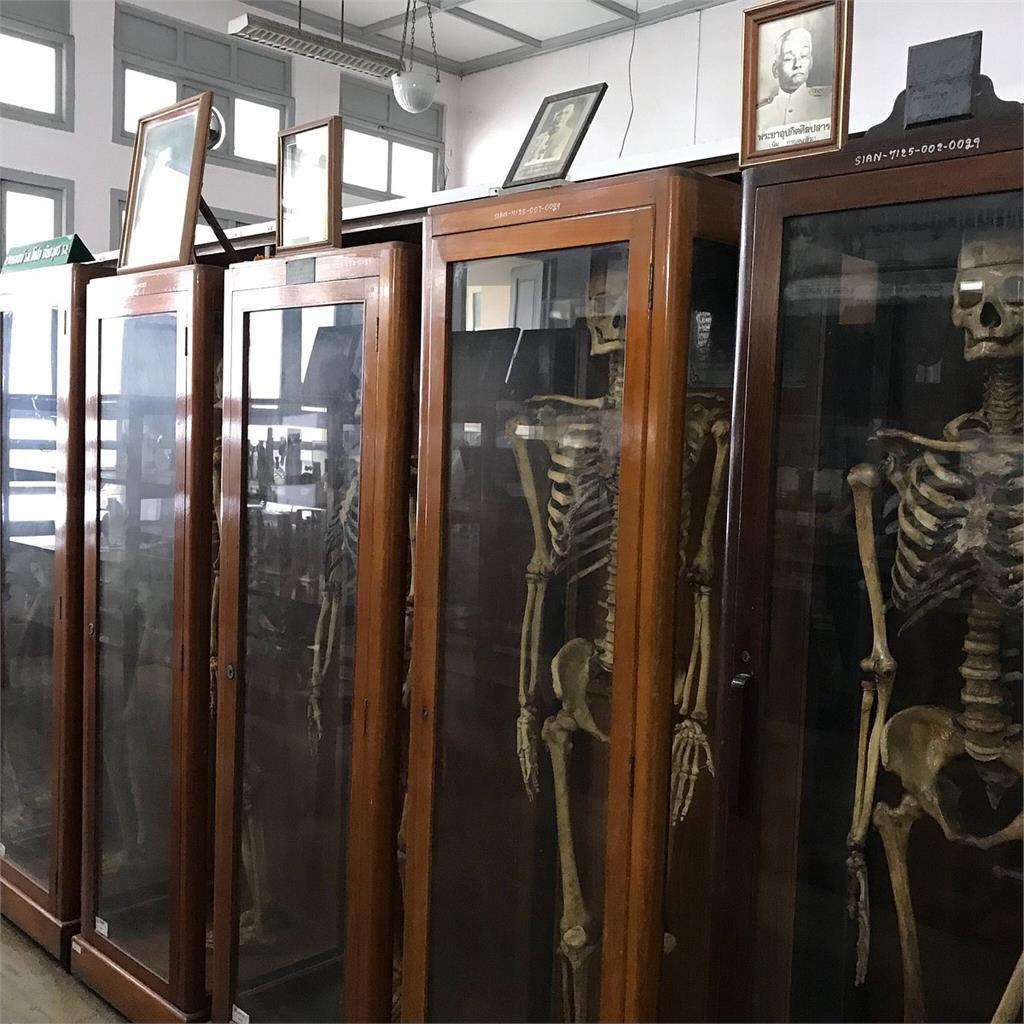 比南美館殭屍更恐怖！「死亡博物館」展出全是真遺體　還有食人魔木乃伊