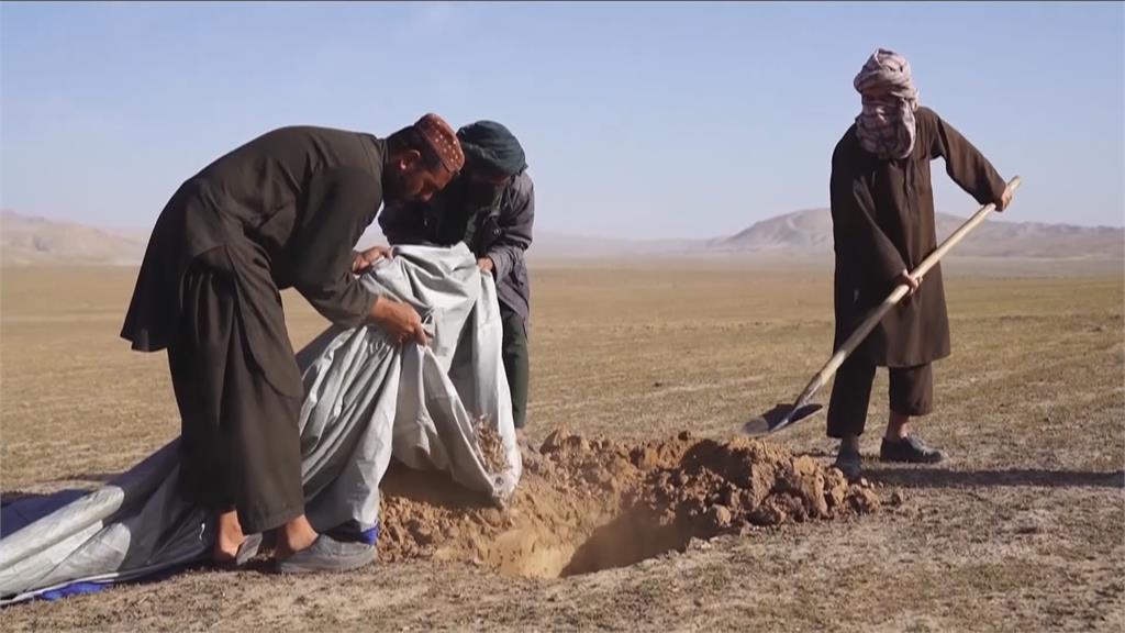 「蝗蟲大軍來襲」農藥不足！　阿富汗糧食供應面臨危機