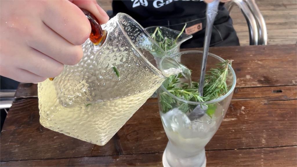 兒子喜歡媽媽就種! 香草花園義式料理可DIY