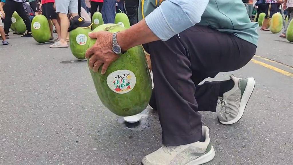 「西瓜苗故鄉」封街立西瓜活動超壯觀　嘉義新品種迷你西瓜一顆要價逾300元