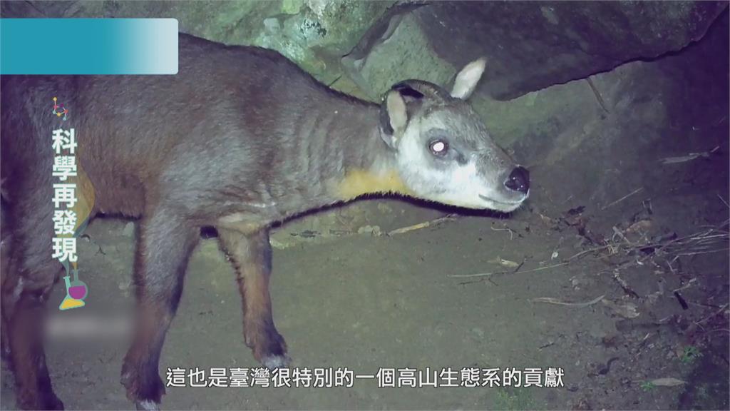 守護台灣多樣豐富生態 落實生物永續
