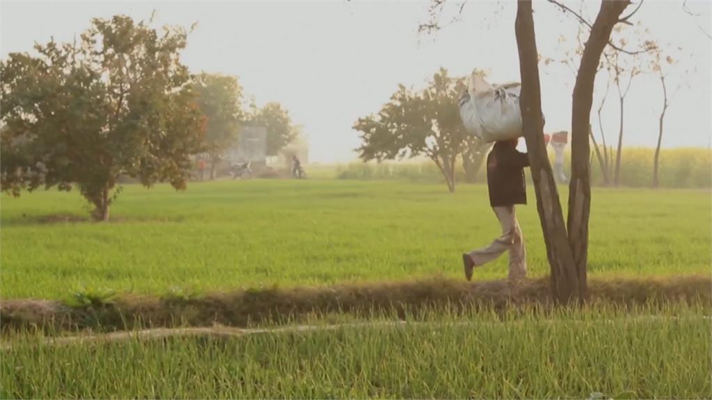 印度熱浪逼近45度　農人高溫耕作收成卻欠佳