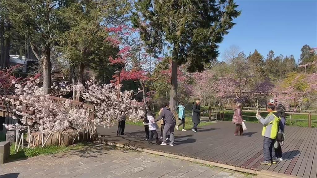 疫後拚觀光! 來台旅客目標600萬人次