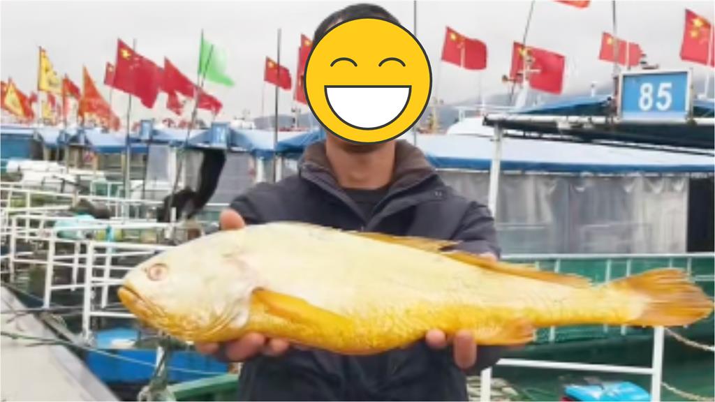 漁民捕獲「2kg金燦燦怪魚」海撈13萬！驚人身分曝：竟是海中土豪