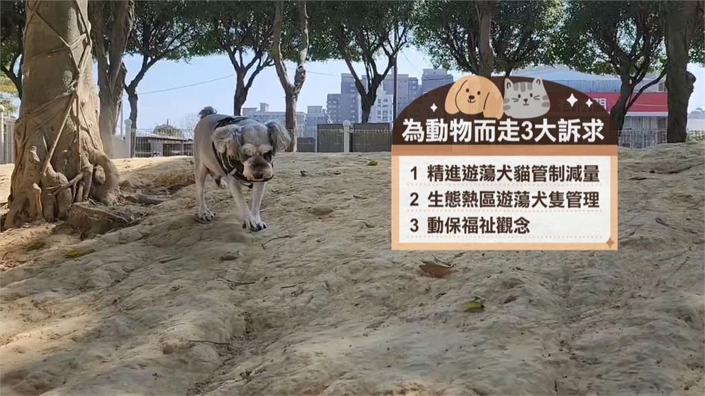 上千人為野生動物而走　動保團體訴求管理流浪犬貓