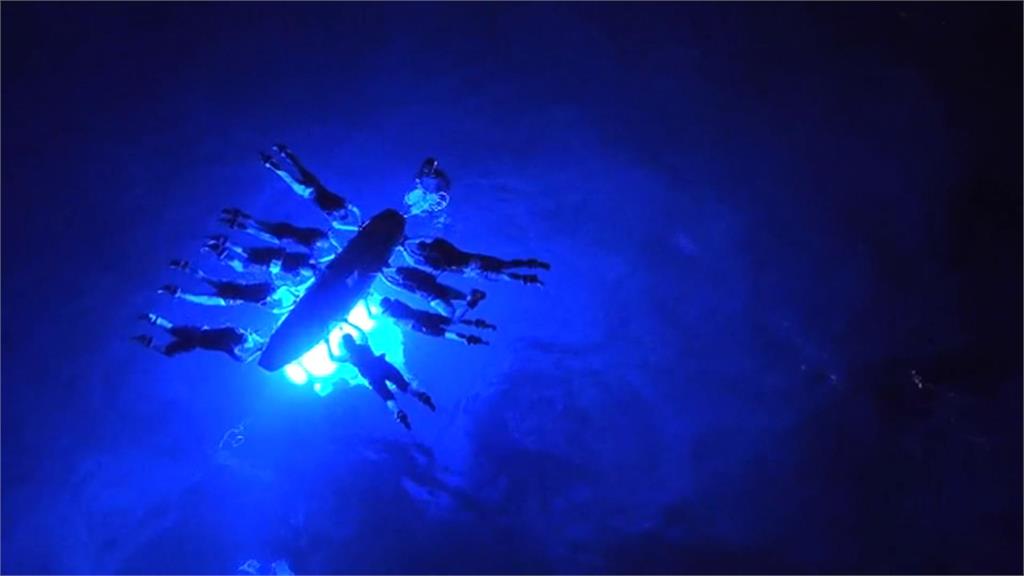 夏威夷夜賞鬼蝠魟浮潛超夯 官員憂安全性