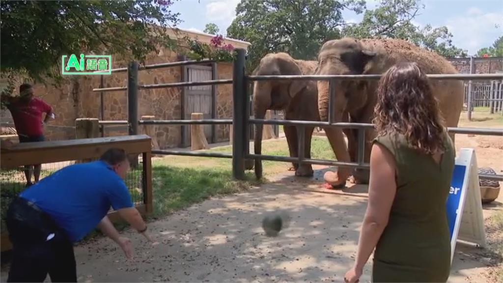 美國阿肯色州極端高溫 當地動物園暫停開放一週