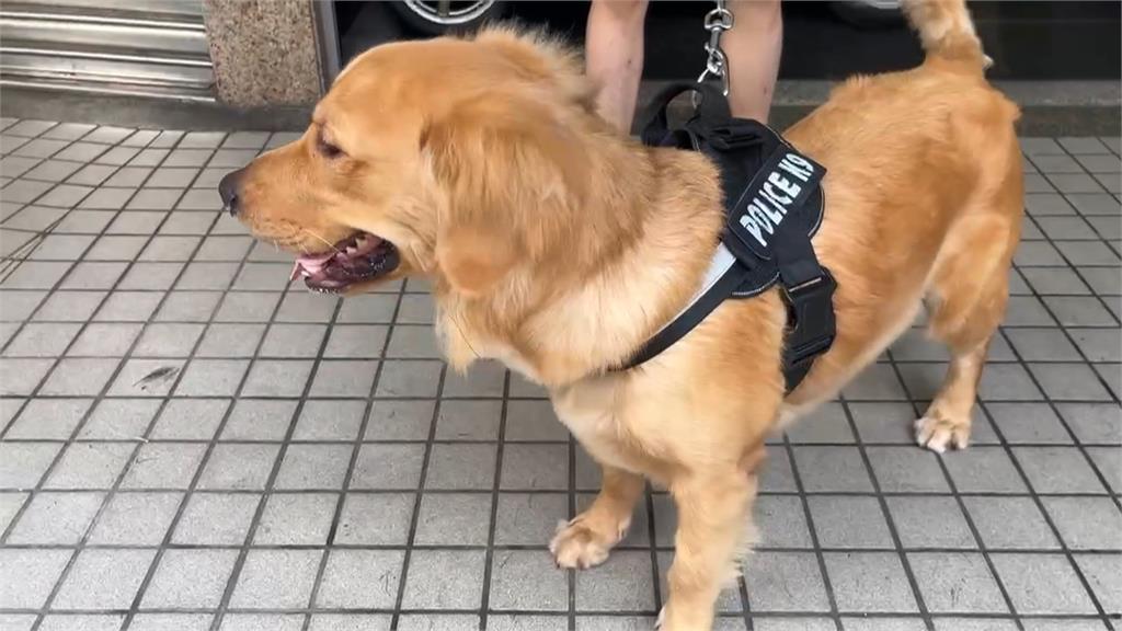 掃把打狗影片曝光　網友狂刷一星評價　　中壢車行老闆駁：很愛狗
